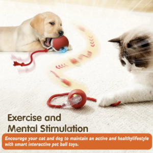 New Interactive Smart Ball Toy for Pets